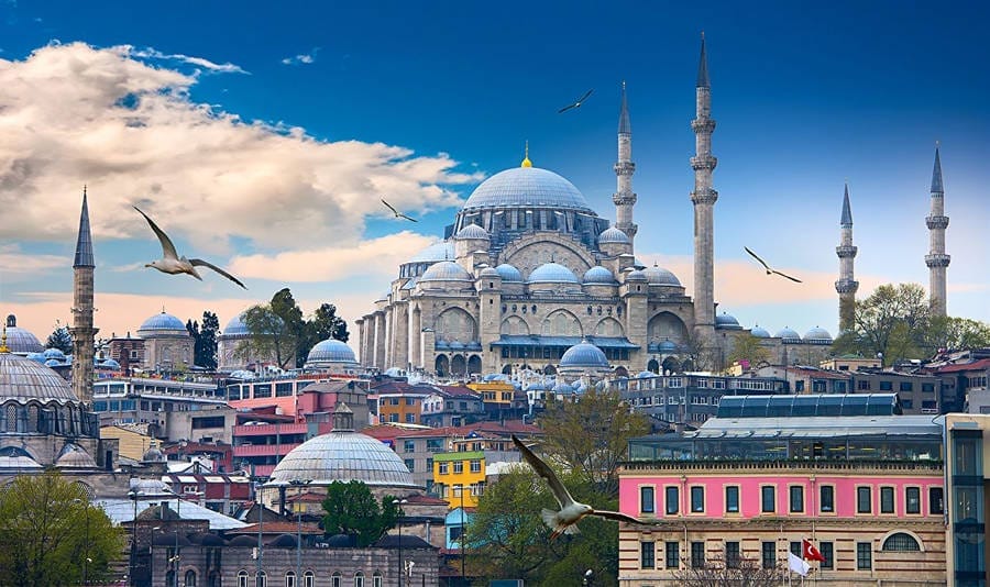 Panoramic view of a historic Ottoman mosque with a large central dome and several tall minarets towering over colorful city rooftops and trees, with seagulls flying against a blue sky with scattered clouds.
